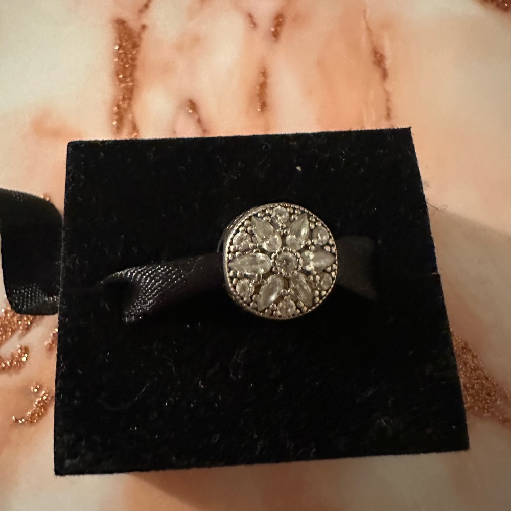 Pandora charm